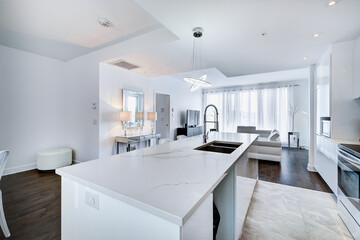 Real estate photography - Luxury new modern apartment in Montreal, Canada