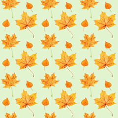 Seamless pattern from made of dry autumn leaves on light green background.