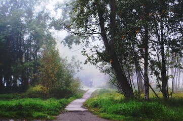 early foggy moning in the city