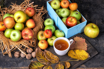 Autumn still life with apples on a dark background