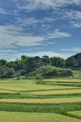 田園風景