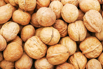       Walnuts. The concept of tasty and healthy food.