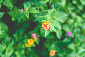 金武町-新開地【沖縄】