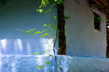 clay and brick house with thatched roof and tile in the traditional and authentic mountain village