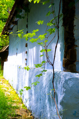 clay and brick house with thatched roof and tile in the traditional and authentic mountain village