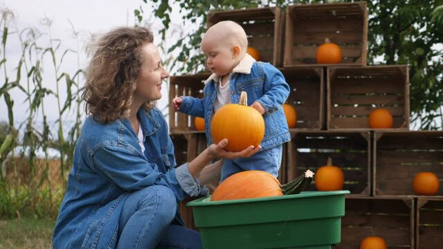 Baby hugging her mom while she's teaching it about the pumpkins at a pumpkin patch. Special bond between mother and her child