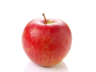 りんご　サンジョナゴールド　岩手県産 リンゴ　日本