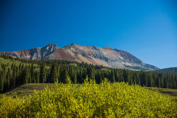 El Diente Peak in the morning with foreground bush