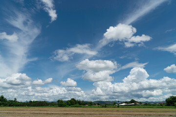 The fields and the sky are bright.