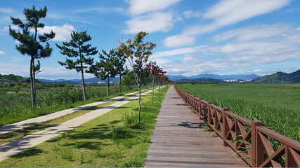 Fototapeta na wymiar 순천만습지(Suncheon Bay Wetland, road)