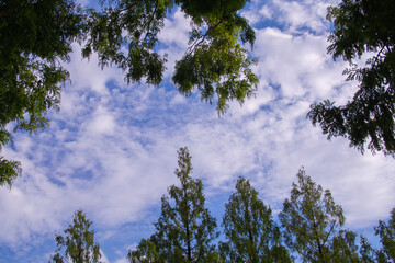 日本の岐阜県の公園