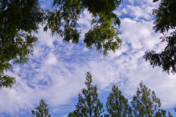 日本の岐阜県の公園