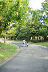 Naklejka premium 公園を自転車とベビーカーで散歩する日本人の親子