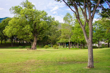 日本の岐阜県の公園