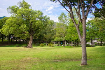 Fototapeta na wymiar 日本の岐阜県の公園