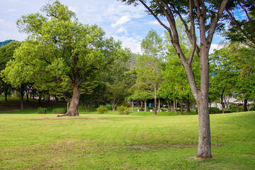 日本の岐阜県の公園