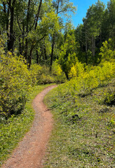 Hiking trail in Telluride, Colorado 