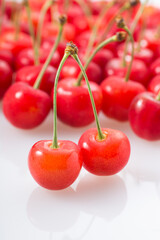 サクランボ　佐藤錦　日本