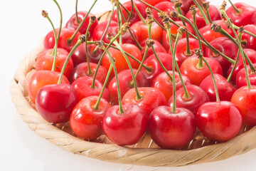 サクランボ　佐藤錦　日本