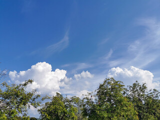 Fototapeta premium blue sky and clouds 