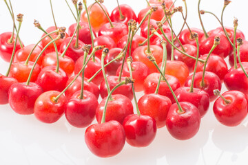 サクランボ　佐藤錦　日本