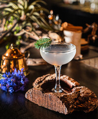 creative cocktail in the bar