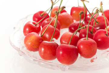 サクランボ　佐藤錦　日本