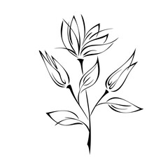 ornament 1297. stylized twig with flower buds and leaves in black lines on a white background