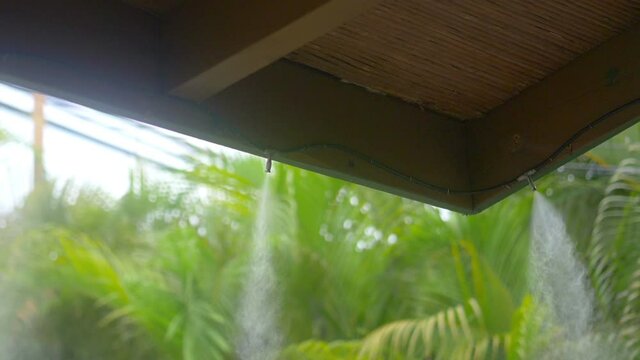 Spray cooler in tropical climate in slow motion 180fps