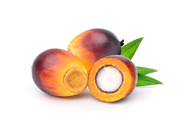 Oil Palm fruits and cut in half with green leaf isolated on white background.
