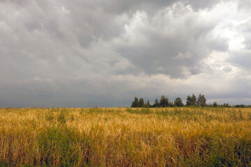 Dark sky in the countryside over a field before a thunderstorm.