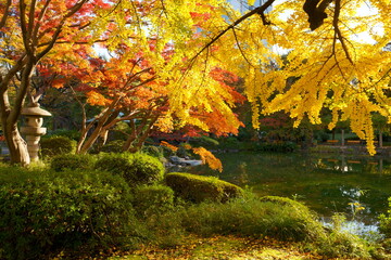 紅葉の日比谷公園