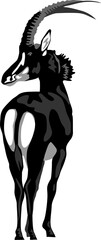 Sable antelope - greyscale vector illustration © bokononist