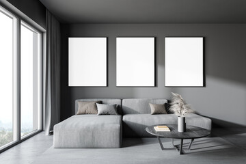 Gray living room with sofa and posters