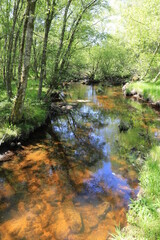 Obraz premium tourbières sur le plateau des mille vaches