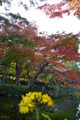 紅葉の日比谷公園