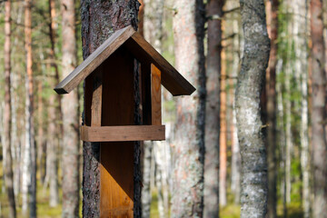 A small bird feeder on a tree.