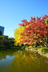 紅葉の日比谷公園