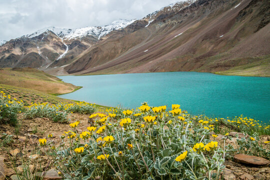 Chandratal lake on a cloudy day