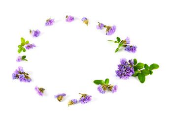 Purple flowers and green leaves are placed in a circle, spaced apart on a white background. Looks beautiful and refreshing.