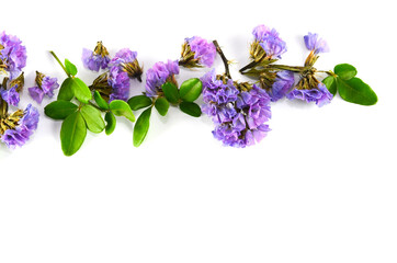 Purple flowers and beautiful green foliage are placed on a white background.