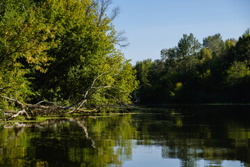 Sunny day on a calm river in summer