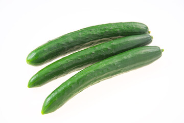 キュウリ 