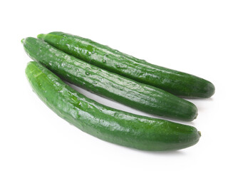 キュウリ 