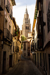 Fototapeta na wymiar Vista de la Catedral de Toledo 