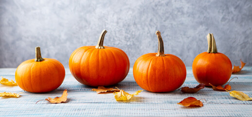 Assortment of pumpkins and autumn leaves. Grey background. Copy space.