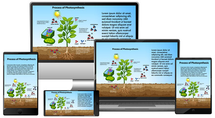 Process of photosynthesis on electronic devices screen