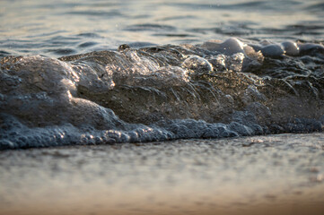 wave splash sea beach macro