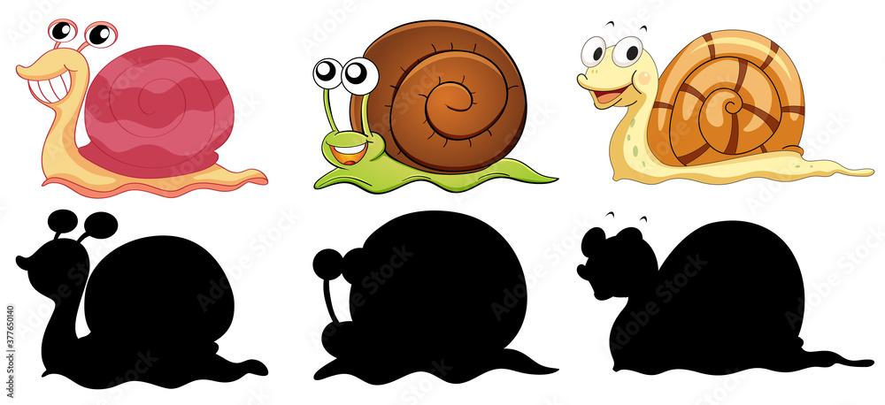 Poster Set of insect cartoon character and its silhouette on white background