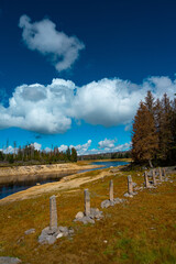 summery Odertal in the Harz Mountains